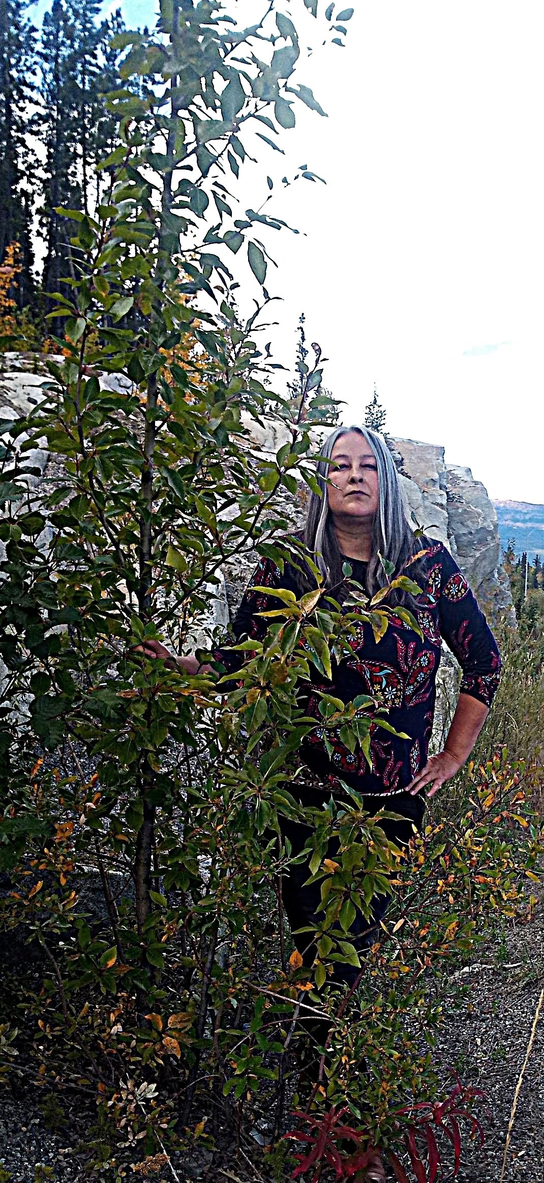 Darcy Tara McDiarmid