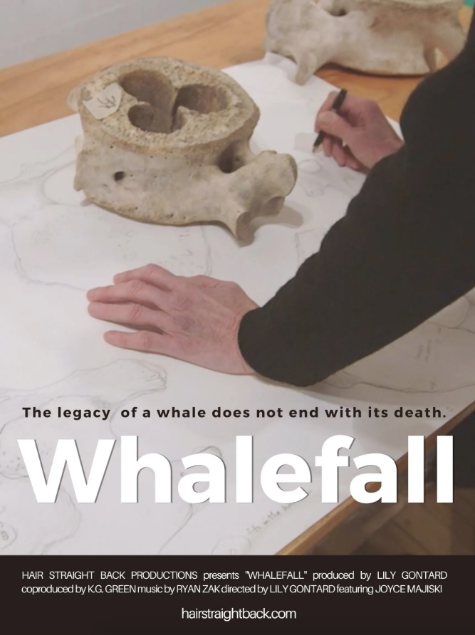 Whalefall