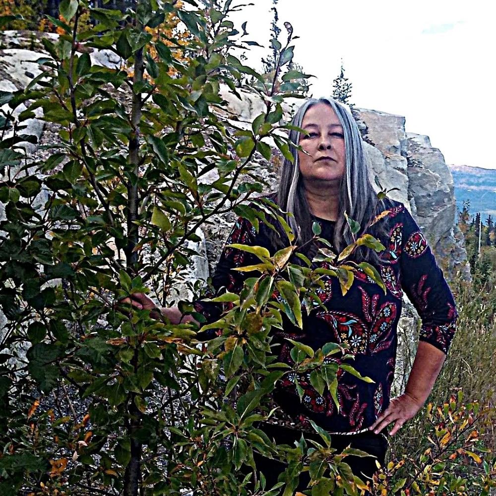 Darcy Tara McDiarmid