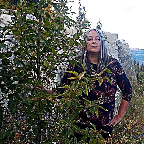 Darcy Tara McDiarmid